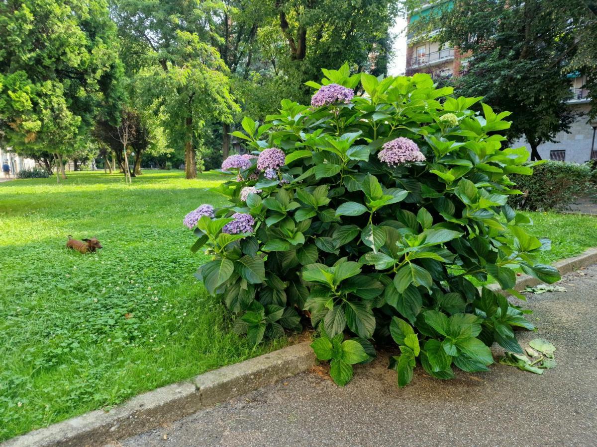 Apartamento Giardino Sul Naviglio Milán Exterior foto