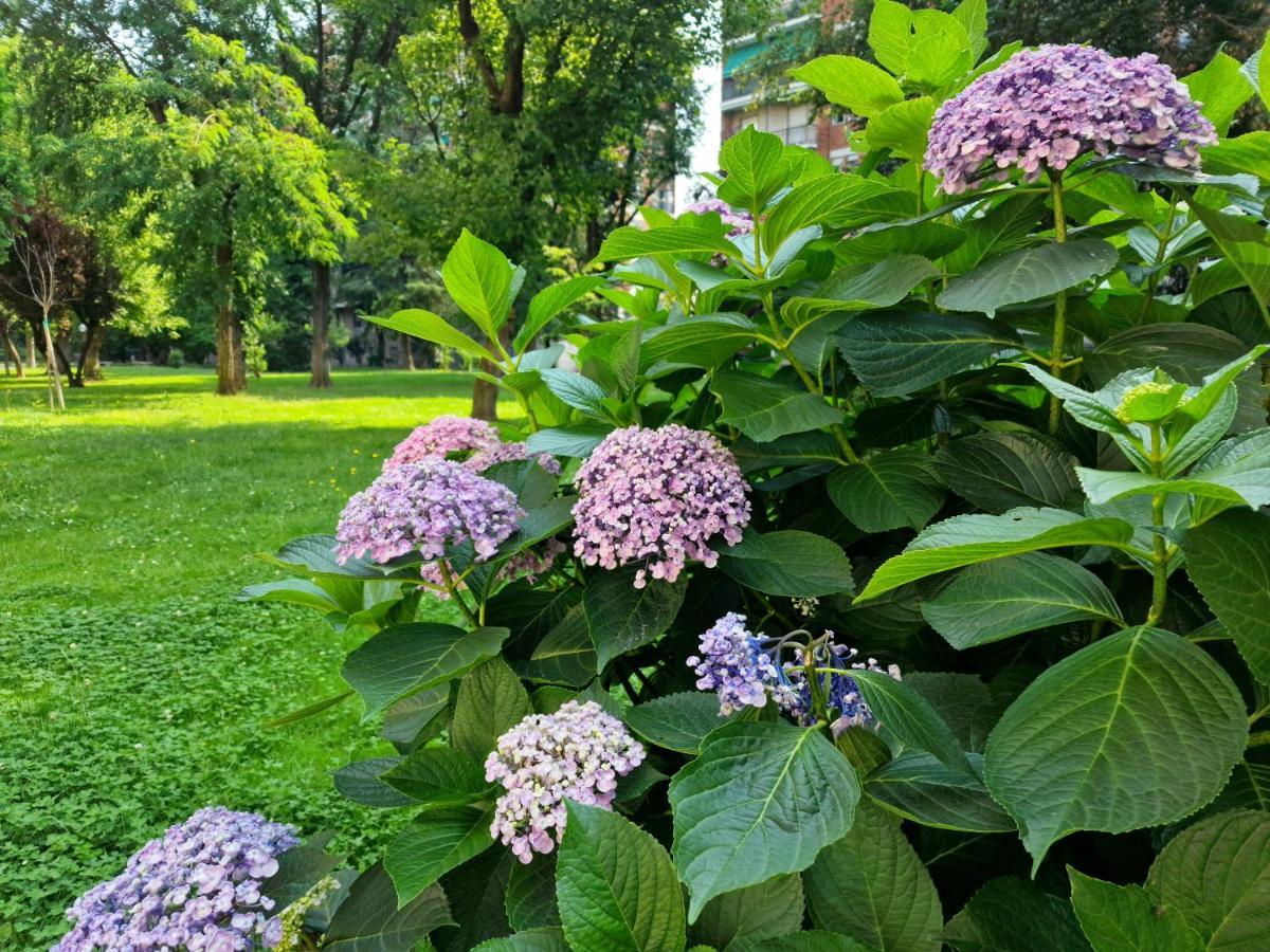 Apartamento Giardino Sul Naviglio Milán Exterior foto